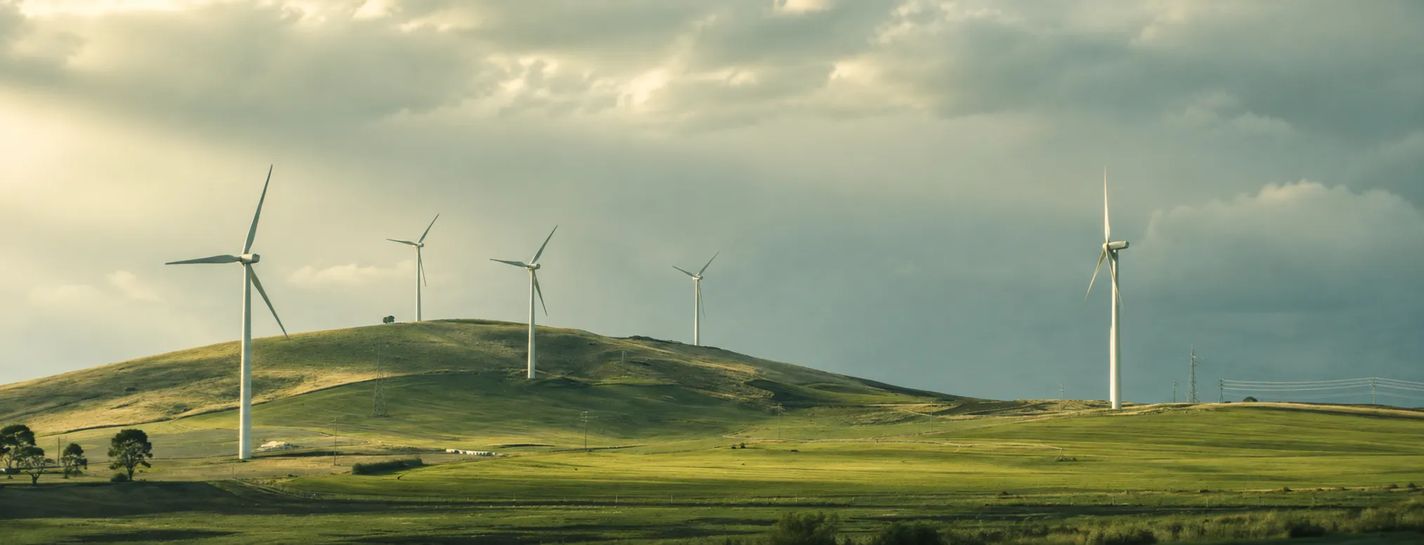 Wind farm at dusk